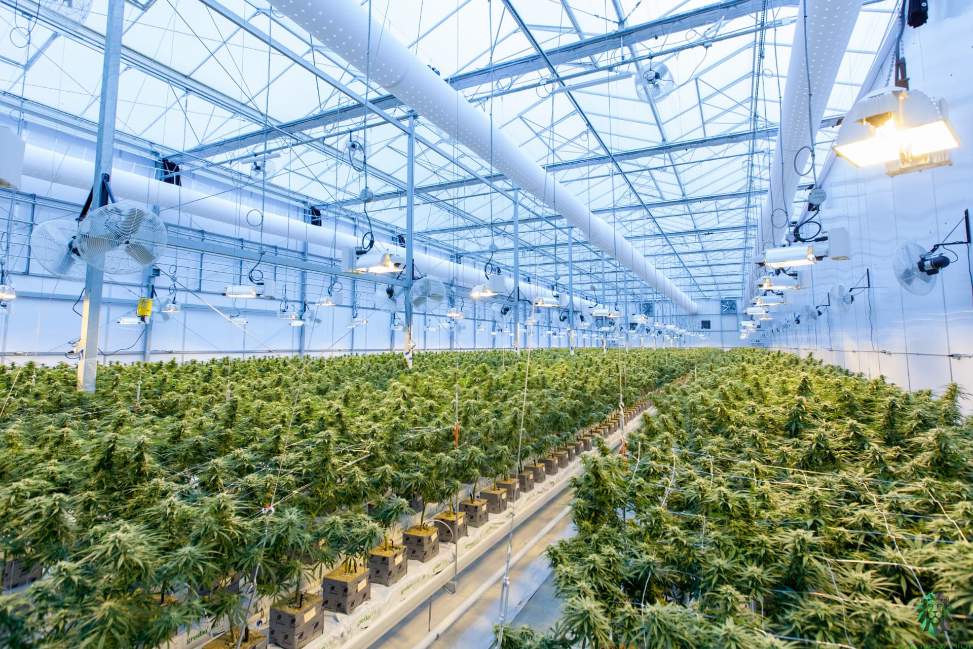 Une startup espagnole obtient le feu vert pour le lancement test de sa production