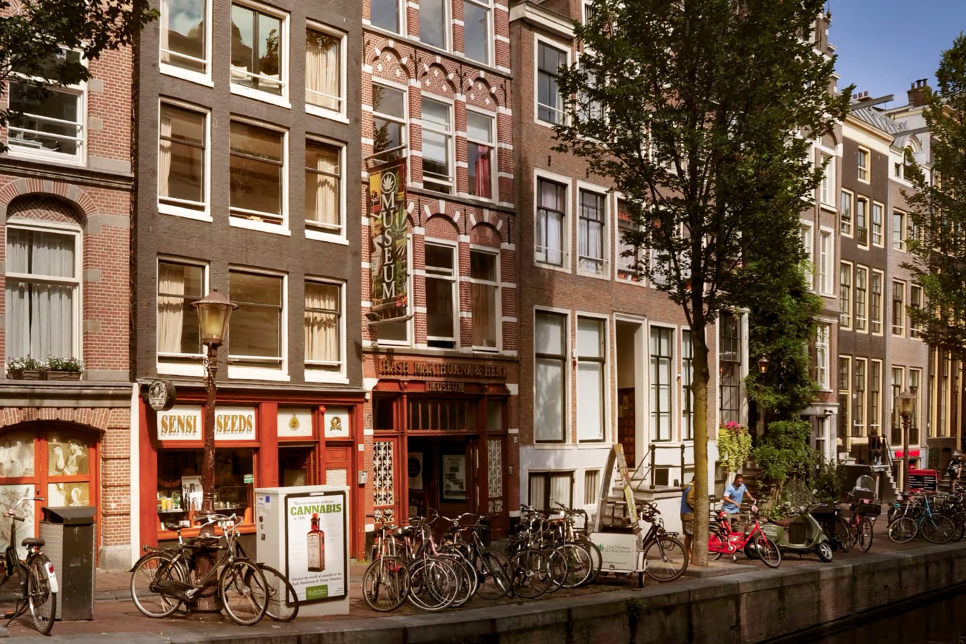 Les meilleurs musées du cannabis en Europe