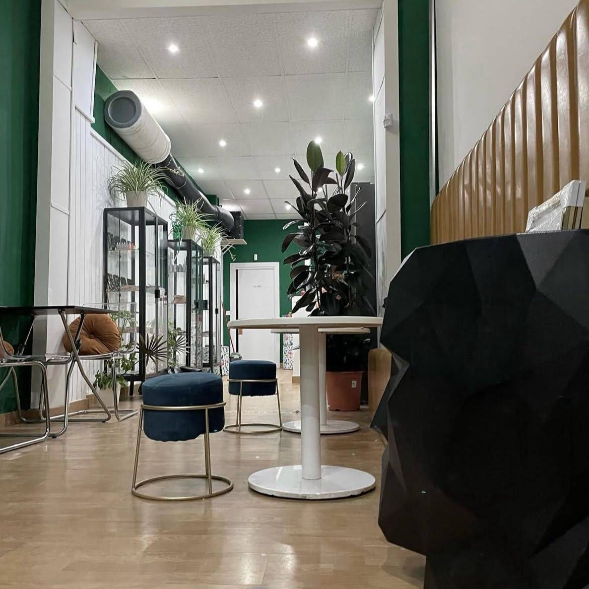 Espace lounge moderne avec touches vertes et mobilier design au club de cannabis Ludico Madrid